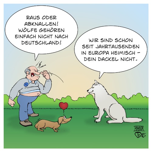 Cartoon: Wolf vs. Dackel (medium) by Timo Essner tagged wolf,deutschland,europa,wildtiere,heimische,arten,artenvielfalt,biodiversität,einwanderung,rückwanderung,cartoon,timo,essner,wolf,deutschland,europa,wildtiere,heimische,arten,artenvielfalt,biodiversität,einwanderung,rückwanderung,cartoon,timo,essner