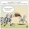 Cartoon: Bugs and Stripes (small) by Timo Essner tagged nature,biology,horses,zebras,stripes,insects,bugs,pests,ward,protection,mosquitoes,horsefly,horseflies,botfly,botflies,camouflage,cartoon,timo,essner
