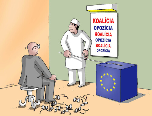 Cartoon: euocno24 (medium) by Lubomir Kotrha tagged european,elections,european,elections