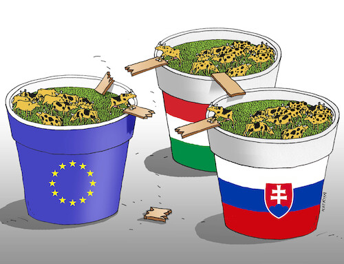 euspolu euspolu
