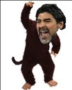 Cartoon: Diego Maradonna (small) by istanbuler62 tagged monkey,argentinien,soccer,affe,fussball,love,istanbuler62