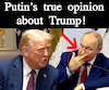 Cartoon: Putins true opinion about Trump (small) by Schimmelpelz-pilz tagged meme,donald,trump,vladimir,wladimir,putin,dictator,war,crime,criminal,criminals,dictators,insult,insulting,idiot,america,russia,ukraine,right,winged,fascist,fascists,dumb,bad,finger,middle,stinkefinger,politicians,politician,mittelfinger