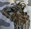 Cartoon: Werewolf - Werwolf (small) by Schimmelpelz-pilz tagged werwolf,werewolf,wolfman,wolfsmensch,monster,horror,fantasy,phantasie,kreatur,biest,beast,ungetüm,abomination,vollmond,full,moon,shapeshifter,gestaltenwandler,mond,wolken,clouds
