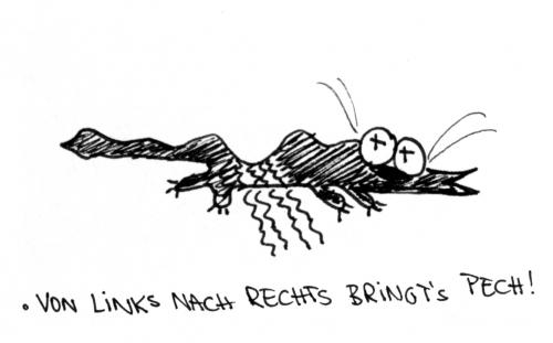 Cartoon: Von links nach rechts. (medium) by puvo tagged katze,pech,links,rechts,straße
