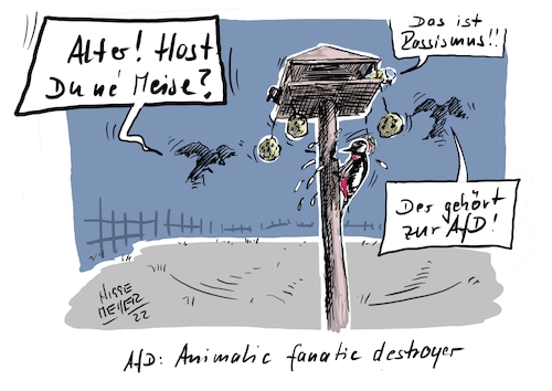 Cartoon: Animalic fanatic destroyer... (medium) by Jori Niggemeyer tagged vogelhaus,specht,meise,rassismus,zerstörung,unterwanderung,hinterhalt,untergrund,meisenknödel,afd,noafd,afdneindanke,fabel,tierisch,cartoonist,satire,humor,joricartoon,niggemeyer,cartooon,cartoonart,illustration,illustrator,karikatur,cartoonstyle,cartoondrawing,witzigebilder,cartoon,vogelhaus,specht,meise,rassismus,zerstörung,unterwanderung,hinterhalt,untergrund,meisenknödel,afd,noafd,afdneindanke,fabel,tierisch,cartoonist,satire,humor,joricartoon,niggemeyer