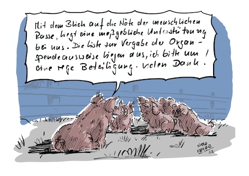 Cartoon: Die Herztransplantation... (medium) by Jori Niggemeyer tagged organspende,organspendeausweis,herzop,herz,herztransplantation,medizin,gesundheit,schwein,schweineherz,hausschwein,verwandtschaft,usa,zukunft,cartoonist,satire,humor,joricartoon,cartoonart,illustration,illustrator,karikatur,cartoonstyle,cartoondrawing,cartoonnetwork,witzigebilder,cartoon,organspende,organspendeausweis,herzop,herz,herztransplantation,medizin,gesundheit,schwein,schweineherz,hausschwein,verwandtschaft,usa,zukunft,cartoonist,satire,humor,joricartoon,cartoonart