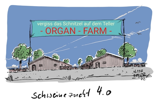 Cartoon: Die Herztransplantation... (medium) by Jori Niggemeyer tagged schweinezucht,humanmedizin,veterinärmedizin,organspende,organspendeausweis,herzop,herz,herztransplantation,medizin,gesundheit,schwein,schweineherz,hausschwein,verwandtschaft,usa,zukunft,cartoonist,satire,humor,joricartoon,cartoonart,illustration,illustrator,karikatur,cartoonstyle,cartoondrawing,cartoonnetwork,witzigebilder,cartoon,schweinezucht,humanmedizin,veterinärmedizin,organspende,organspendeausweis,herzop,herz,herztransplantation,medizin,gesundheit,schwein,schweineherz,hausschwein,verwandtschaft,usa,zukunft,cartoonist,satire,humor,joricartoon,cartoonart