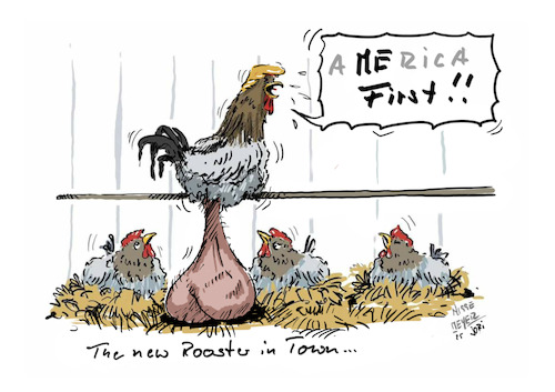 Cartoon: The New Rooster in Town... (medium) by Jori Niggemeyer tagged chickensoup,americafirst,rooster,trump,fcktrump,usa,peinlich,faschismusneindanke,demokratie,politik,jori,positivdenken,joricartoon,niggemeyer,joriniggemeyer,chickensoup,americafirst,rooster,trump,fcktrump,usa,peinlich,faschismusneindanke,demokratie,politik,jori,positivdenken,joricartoon,niggemeyer,joriniggemeyer