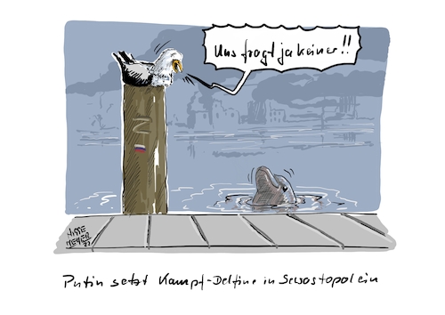 Cartoon: Wie krank ist das denn... (medium) by Jori Niggemeyer tagged stopwarinukraine,stopputin,delfin,kampfdelfin,möwe,sewastopol,krieg,nowar,wladimirputin,lawrow,fckptn,fuckputin,putin,ukrainetoday,ukraine,moskau,kreml,standwithukraine,ukrainewar,humor,joricartoon,niggemeyer,cartooon,cartoonart,illustration,illustrator,karikatur,satire,cartoondrawing,cartoon,stopwarinukraine,stopputin,delfin,kampfdelfin,möwe,sewastopol,krieg,nowar,wladimirputin,lawrow,fckptn,fuckputin,putin,ukrainetoday,ukraine,moskau,kreml,standwithukraine,ukrainewar,humor,joricartoon,niggemeyer,cartooon,cartoonart,illustration,illustrator,karikatur,satire,cartoondrawing,cartoon