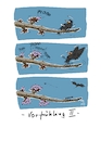 Cartoon: Vorfrühling II (small) by Jori Niggemeyer tagged vorfrühling,frühling,knospen,tiere,gefahr,blüte,vogel,kirsche,kirschblüte,garten,natur,gardening,hope,hoffnung