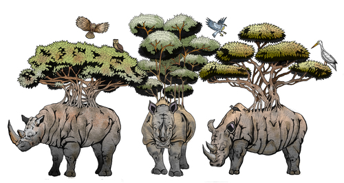 Cartoon: Living Forest (medium) by javierhammad tagged illustration,surreal,nature,animals,rhino,birds,tree,branchs,jungle,ecology,illustration,surreal,nature,animals,rhino,birds,tree,branchs,jungle,ecology