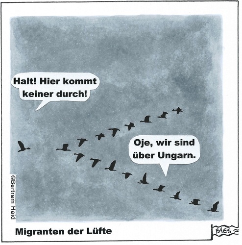 Migranten der Lüfte