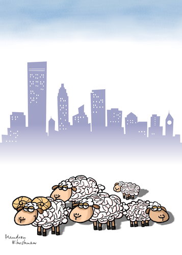 Cartoon: sheep brains and city (medium) by handren khoshnaw tagged handren,khoshnaw,brains,sheep,cartoon,education,culture