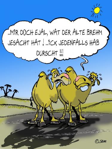 Cartoon: brehms tierleben (medium) by sam tagged animals,beziehung,character,bunt,tier,kamel,sam