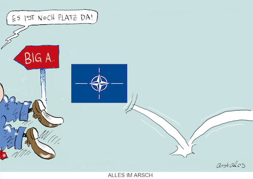 Natogipfel
