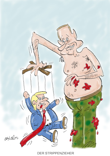 Cartoon: Strippenzieher (medium) by astaltoons tagged trum,putin,ukraine,krieg,trum,putin,ukraine,krieg