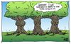 Cartoon: Tree Surgeon (small) by JohnBellArt tagged tree,surgeon,implant,plant,bark,boobs,breast,enhancement,gossip,envy,nature,natural,fake,plastic,augmentation