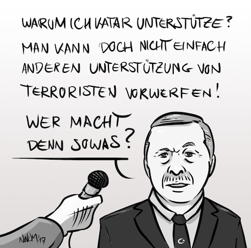 Cartoon: Erdogan und Katar (medium) by INovumI tagged recep,tayyip,erdogan,katar,unterstützen,truppen,senden,hacker