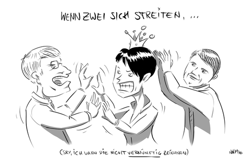 Cartoon: Wenn zwei sich streiten (medium) by INovumI tagged meuthen,petry,höcke,afd