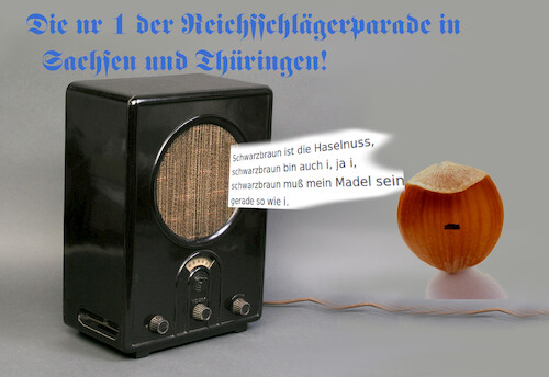 Cartoon: ein lied zwo drei fier (medium) by ab tagged deutschland,osten,schlager,musik,radio