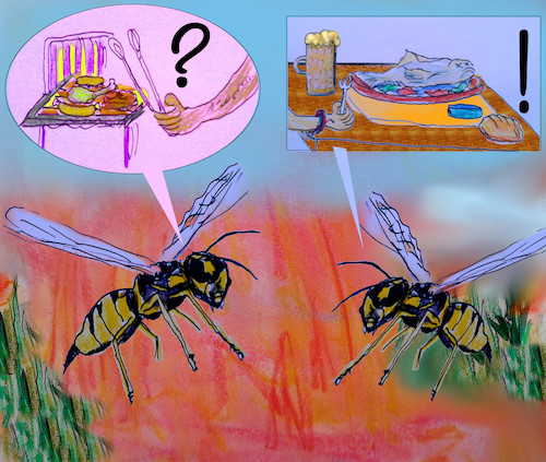 Cartoon: wespensommer (medium) by ab tagged sommer,wespen,insekt,plage