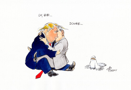 Turteltauben Turteltauben