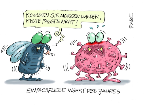 Cartoon: Eintagsfliegenklatsche (medium) by RABE tagged corona,bildung,bildungsminister,kanzleramt,bildungskonferenz,lehrerkonferenz,laptop,ausstatung,digitalisierung,bildungsmonitor,internetzugan,wlan,aufwachen,eintagsfliege,insekt,fliege,coronavirus,abstandsregeln,fallzahlen,lockdown,hautflügler,corona,bildung,bildungsminister,kanzleramt,bildungskonferenz,lehrerkonferenz,laptop,ausstatung,digitalisierung,bildungsmonitor,internetzugan,wlan,aufwachen,eintagsfliege,insekt,fliege,coronavirus,abstandsregeln,fallzahlen,lockdown,hautflügler