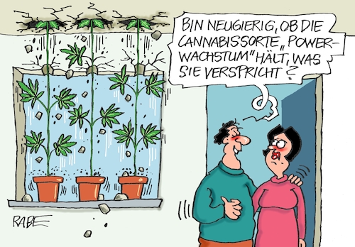 Cartoon: Highspeed Wachstum (medium) by RABE tagged cannabis,cannabislegalisierung,cannabispflanzen,hanf,drogen,rausch,legalisierung,hanfpflanze,lauterbach,cannabisgesetz,rabe,ralf,böhme,cartoon,karikatur,pressezeichnung,farbcartoon,tagescartoon,ehepaar,mann,frau,blumentöofe,blumenerde,fensterbank,schnellwachstum,bruch,zimmerdecke,löcher,risse,cannabis,cannabislegalisierung,cannabispflanzen,hanf,drogen,rausch,legalisierung,hanfpflanze,lauterbach,cannabisgesetz,rabe,ralf,böhme,cartoon,karikatur,pressezeichnung,farbcartoon,tagescartoon,ehepaar,mann,frau,blumentöofe,blumenerde,fensterbank,schnellwachstum,bruch,zimmerdecke,löcher,risse