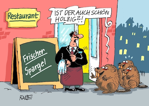 Cartoon: Holziges (medium) by RABE tagged spargel,spargelzeit,spargelesser,sparer,spargeld,rabe,ralf,böhme,cartoon,karikatur,pressezeichnung,farbcartoon,tagescartoon,saison,spargelsaison,ehepaar,biber,nutria,nager,nagetiere,restaurant,gaststätte,kneipe,essen,speisen,speisenangebot,spargelessen,ober,kellner,wirt,holz,holziges,tiere,spargel,spargelzeit,spargelesser,sparer,spargeld,rabe,ralf,böhme,cartoon,karikatur,pressezeichnung,farbcartoon,tagescartoon,saison,spargelsaison,ehepaar,biber,nutria,nager,nagetiere,restaurant,gaststätte,kneipe,essen,speisen,speisenangebot,spargelessen,ober,kellner,wirt,holz,holziges,tiere