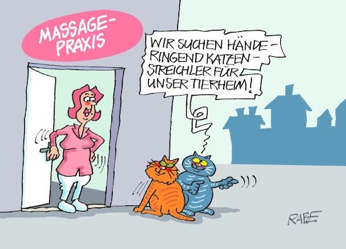 Massage für Katzen