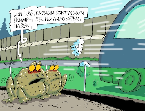 Cartoon: Neulich am Krötenzaun (medium) by RABE tagged donald,trump,usa,us,president,washington,botschaften,länder,hauptstädte,rabe,ralf,böhme,cartoon,karikatur,pressezeichnung,farbcartoon,tagescartoon,mauer,mexico,einwanderer,kröten,frösche,molche,lurche,amphibien,krötenzaun,helfer,auto,autofahrer,raser,straßenüberquerung,naturschutz,natur,umwelt,umweltschutz,gewässer,laich,laichplätze,krötenwanderung,donald,trump,usa,us,president,washington,botschaften,länder,hauptstädte,rabe,ralf,böhme,cartoon,karikatur,pressezeichnung,farbcartoon,tagescartoon,mauer,mexico,einwanderer,kröten,frösche,molche,lurche,amphibien,krötenzaun,helfer,auto,autofahrer,raser,straßenüberquerung,naturschutz,natur,umwelt,umweltschutz,gewässer,laich,laichplätze,krötenwanderung