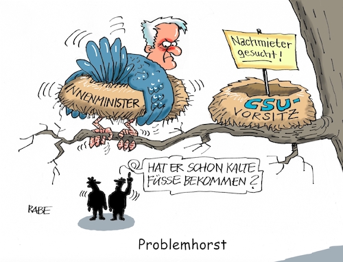 Problemhorst
