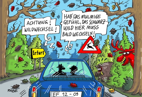 Cartoon: Schwarzwildwechsel (medium) by RABE tagged thüringen,landtagswahl,sondierungsgespräche,ministerpräsident,lieberknecht,cdu,ramelow,linke,bausewein,spd,grüne,koalition,koalitionsrunde,rotrot,rotrotgrün,schwarzrot,rabe,ralf,böhme,cartoon,karikatur,pressezeichnung,farbcartoon,tagescartoon,wald,straße,herbst,nebel,autofahrer,pkw,wild,wildwechsel,rotwild,schwarzwild,unfälle,laub,nässe,thüringen,landtagswahl,sondierungsgespräche,ministerpräsident,lieberknecht,cdu,ramelow,linke,bausewein,spd,grüne,koalition,koalitionsrunde,rotrot,rotrotgrün,schwarzrot,rabe,ralf,böhme,cartoon,karikatur,pressezeichnung,farbcartoon,tagescartoon,wald,straße,herbst,nebel,autofahrer,pkw,wild,wildwechsel,rotwild,schwarzwild,unfälle,laub,nässe