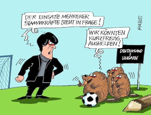 Cartoon: Stammhalter (medium) by RABE tagged em,europameisterschaft,fußball,fußballer,allianz,münchen,löw,bundestrainer,stammkräfte,stammspieler,hummels,müller,rabe,ralf,böhme,cartoon,karikatur,pressezeichnung,farbcartoon,tagescartoon,biber,stamm,ausfall,ungarn,alianzarena,budapest,vorrundenspiel,achtelfinale,em,europameisterschaft,fußball,fußballer,allianz,münchen,löw,bundestrainer,stammkräfte,stammspieler,hummels,müller,rabe,ralf,böhme,cartoon,karikatur,pressezeichnung,farbcartoon,tagescartoon,biber,stamm,ausfall,ungarn,alianzarena,budapest,vorrundenspiel,achtelfinale