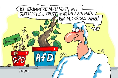 Cartoon: Topfpflanze (medium) by RABE tagged landtagswahl,thüringen,lieberknecht,cdu,ramelow,linke,ministerpräsident,afd,rabe,ralf,böhme,cartoon,karikatur,pressezeichnung,farbcartoon,tagescartoon,wähler,landtag,topf,topfpflanze,zimmerpflanze,koalition,rot,grün,schwarz,landtagswahl,thüringen,lieberknecht,cdu,ramelow,linke,ministerpräsident,afd,rabe,ralf,böhme,cartoon,karikatur,pressezeichnung,farbcartoon,tagescartoon,wähler,landtag,topf,topfpflanze,zimmerpflanze,koalition,rot,grün,schwarz