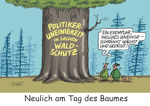 Cartoon: Uneinigkeit (medium) by RABE tagged baum,wald,tag,ast,äste,laub,natur,waldspaziergang,jubiläum,rabe,ralf,böhme,cartoon,karikatur,pressezeichnung,farbcartoon,tagescartoon,axt,baumrinde,abholzung,baumfällung,waldschaden,stamm,politiker,uneinigkeit,waldschutz,naturschutz,baum,wald,tag,ast,äste,laub,natur,waldspaziergang,jubiläum,rabe,ralf,böhme,cartoon,karikatur,pressezeichnung,farbcartoon,tagescartoon,axt,baumrinde,abholzung,baumfällung,waldschaden,stamm,politiker,uneinigkeit,waldschutz,naturschutz