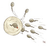 Cartoon: Zu spät (small) by mele tagged einzelle,spermium