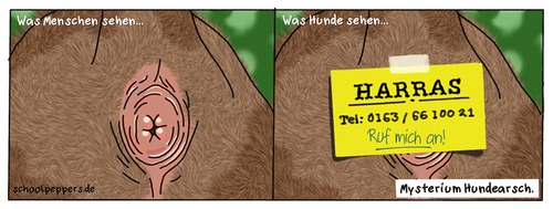 Cartoon: Schoolpeppers 212 (medium) by Schoolpeppers tagged schnuppern,arsch,hund