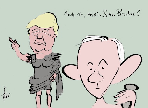 Trumps Brutus