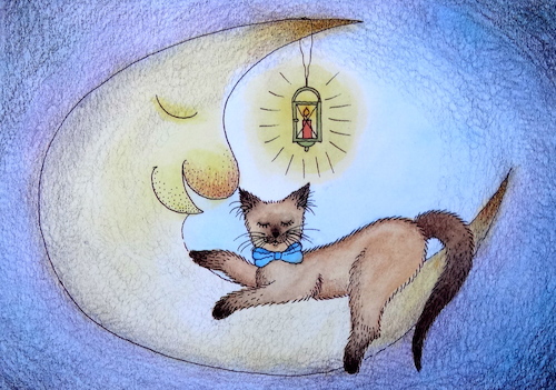 Cartoon: schönheit und verliebter mond (medium) by katzen-gretelein tagged mond,katze,verliebt,laterne,himmel