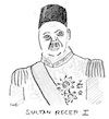 Cartoon: Sultan Recep I (small) by kritzelcarl tagged turkey,diktatur