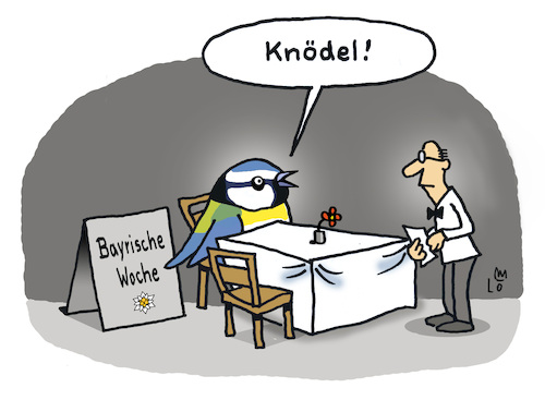 Cartoon: Im Restaurant (medium) by Lo Graf von Blickensdorf tagged meisenknödel,knödel,restaurant,hunger,bayern,nahrung,ernährung,meise,vogel,blaumeise,ornithologie,karikatur,lo,graf,cartoon,witz,kalauer,winterfutter,kellner,gast,bestellung,meisenknödel,knödel,restaurant,hunger,bayern,nahrung,ernährung,meise,vogel,blaumeise,ornithologie,karikatur,lo,graf,cartoon,witz,kalauer,winterfutter,kellner,gast,bestellung