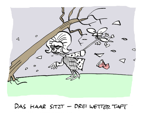 Cartoon: Witterung (medium) by Bregenwurst tagged sabine,sturm,orkan,frisur,drei,wetter,taft