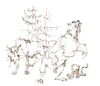 Cartoon: walden (small) by herranderl tagged waldbaden,wird,einfacher,abschuss,wolf