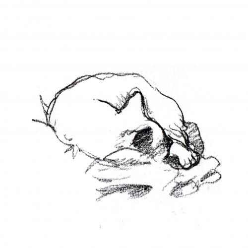 Cartoon: Sketching gaston (medium) by mortimer tagged mortimer,mortimeriadas,sketch,cats,gatos,gaston,chartreux,pencil