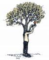 Cartoon: appletreeman (small) by mortimer tagged mortimer,treebeing,trees,nature