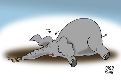 Cartoon: Big Mouse (medium) by madman tagged mousetrap,elephant,big,mouse