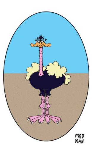 Cartoon: ostrich (medium) by madman tagged ostrich,bird,desert