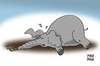 Cartoon: Big Mouse (small) by madman tagged mousetrap,elephant,big,mouse