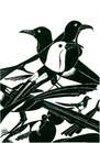 Cartoon: birds (small) by menekse cam tagged birds
